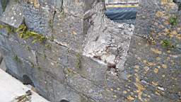acastle 144050.jpg